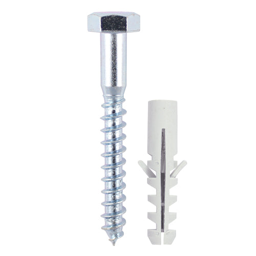 Coach Screw & Nylon Plugs β Zinc Plated β Masonry Fixing Kit for Brick, Block & Concrete