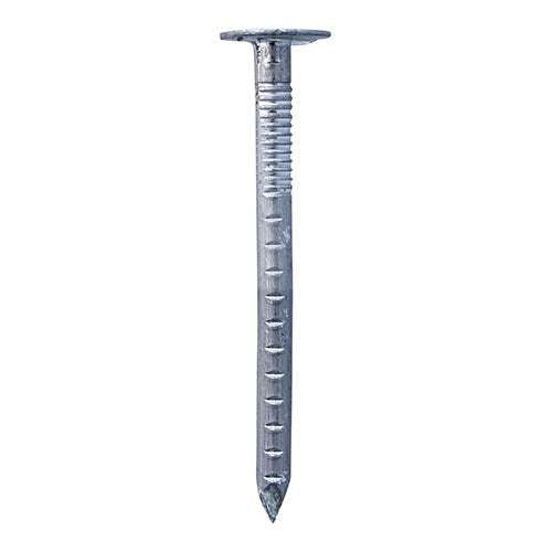 Clout Nails - Aluminium - Large Head for Roofing Felt & Slates - Provides Rust Protection