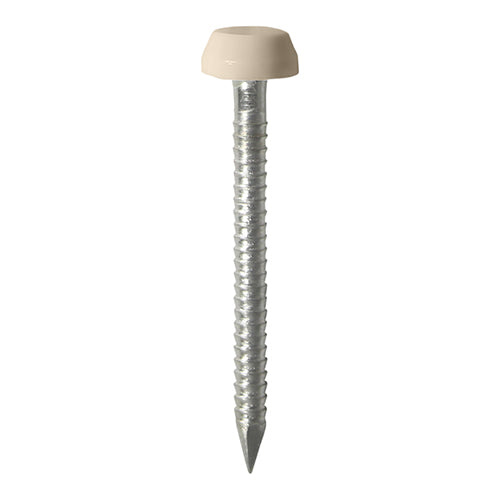 Beige Polymer Headed Pins - A4 Stainless Steel | Corrosion Resistant Decorative Fixings for Wood