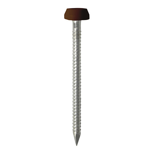 Mahogany Polymer Headed Pins - A4 Stainless Steel Panel Pins | Corrosion Resistant Decorative Fixings for Wood