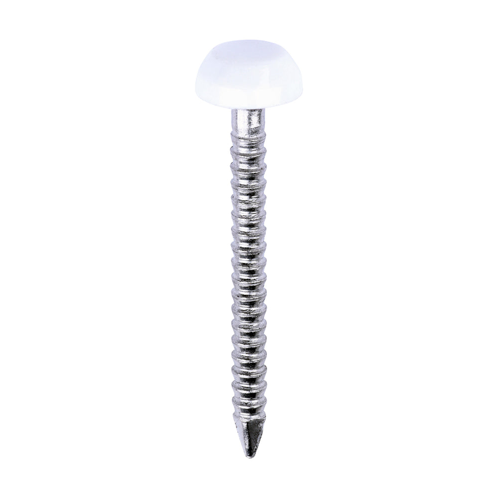 TIMCO Polymer Headed Pins A4 Stainless Steel White