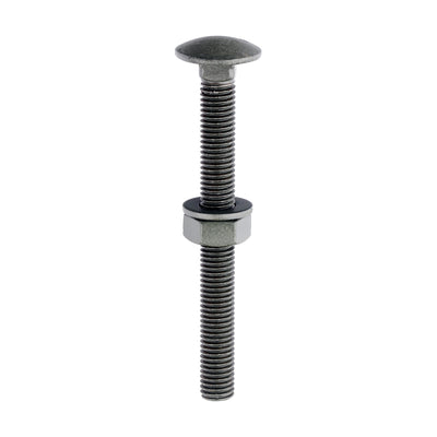 TIMCO Carriage Bolts Hex Nuts & Form A Washers — Dome Head Exterior Green Fasteners