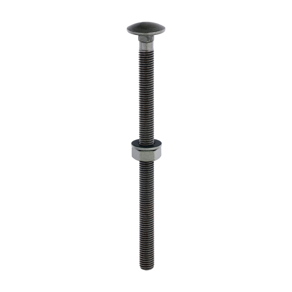 TIMCO Carriage Bolts Hex Nuts & Form A Washers — Dome Head Exterior Green Fasteners