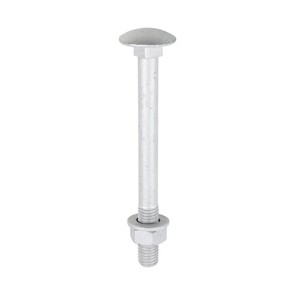 Carriage Bolts with Hex Nuts & Form A Washers - Dome Head - Exterior Timber Fixing - Silver Coated