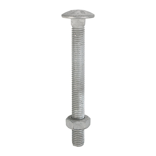 Carriage Bolts & Hex Nuts – Hot Dipped Galvanised Carbon Steel Dome Head Bolts for Timber & Ironmongery Fixing