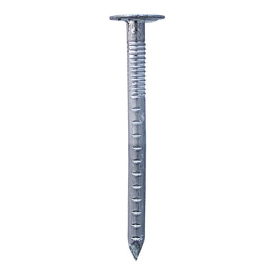 Clout Nails - Aluminium - Large Head for Roofing Felt & Slates - Provides Rust Protection