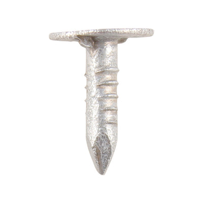 Extra Large Head Clout Nails – Galvanised Roofing Felt & Plasterboard Fixings – Rust Protection