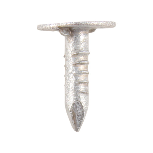 Extra Large Head Clout Nails – Galvanised Roofing Felt & Plasterboard Fixings – Rust Protection