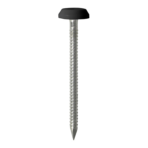 Black Polymer Headed Pins – Stainless Steel Panel Pins | Rust-Resistant Decorative Fixings