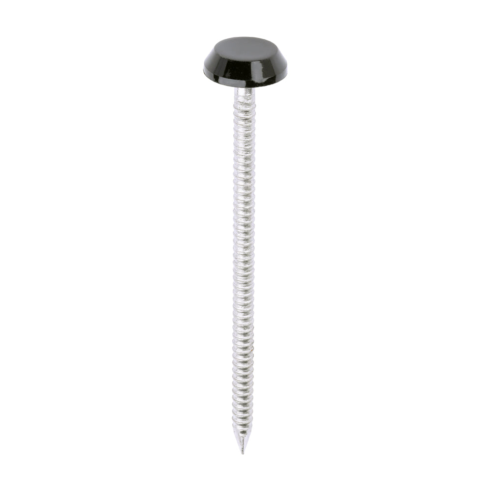 Black Polymer Headed Pins – Stainless Steel Panel Pins | Rust-Resistant Decorative Fixings