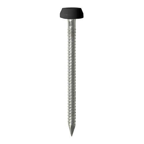 Black Polymer Headed Pins Stainless Steel Panel Pins