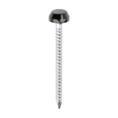 Black Polymer Headed Pins Stainless Steel Panel Pins