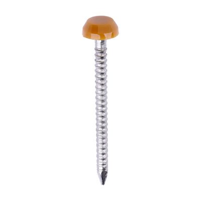 Polymer Headed Pins – A4 Stainless Steel – Oak