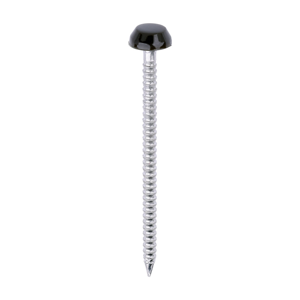 Mahogany Polymer Headed Pins - A4 Stainless Steel Panel Pins | Corrosion Resistant Decorative Fixings for Wood