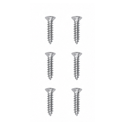 6pc Stainless Screws 3.5 x 12mm (HOME PRO)