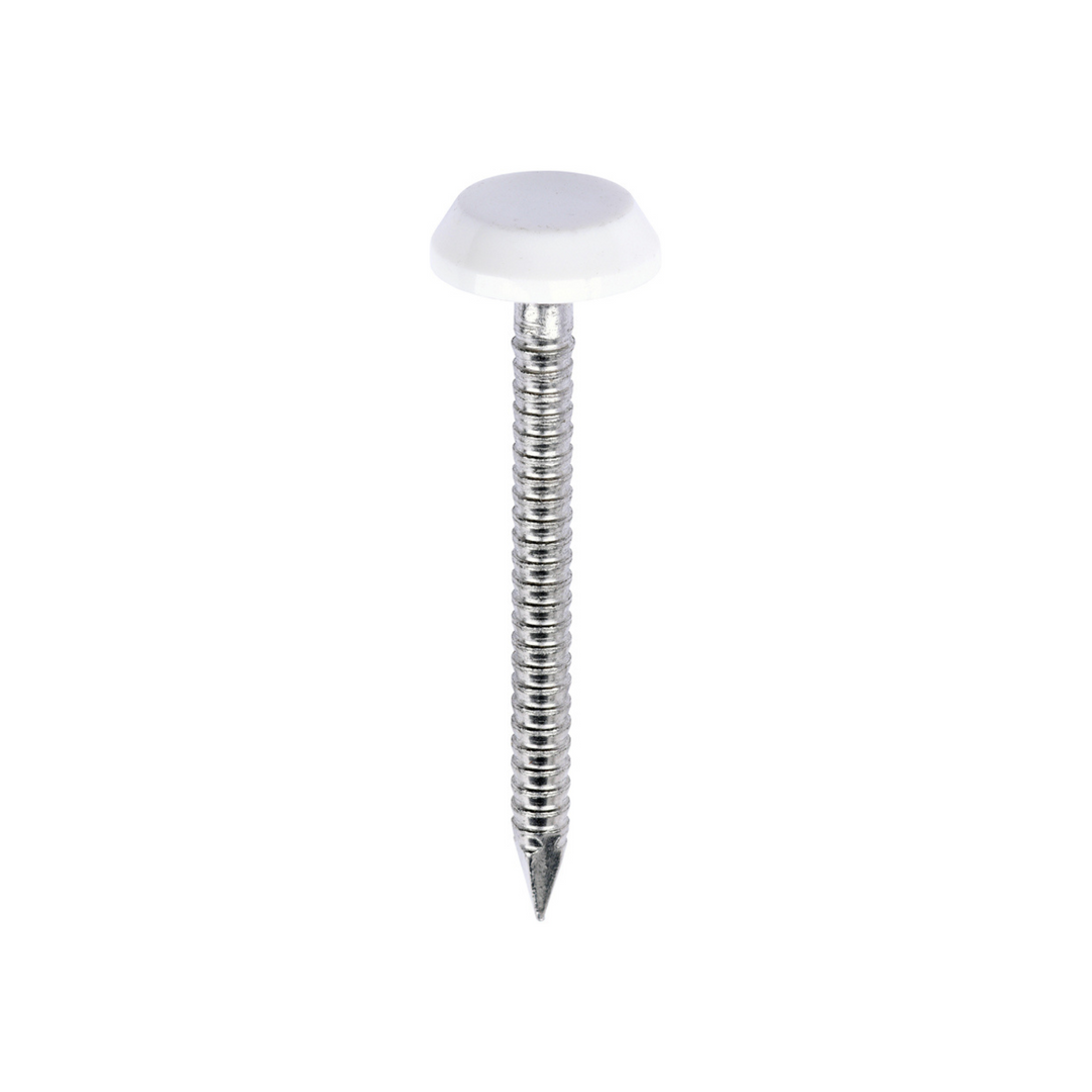 Polytop Nails - A4 Stainless Steel Polymer Cap Nails for Carpentry, Cl ...