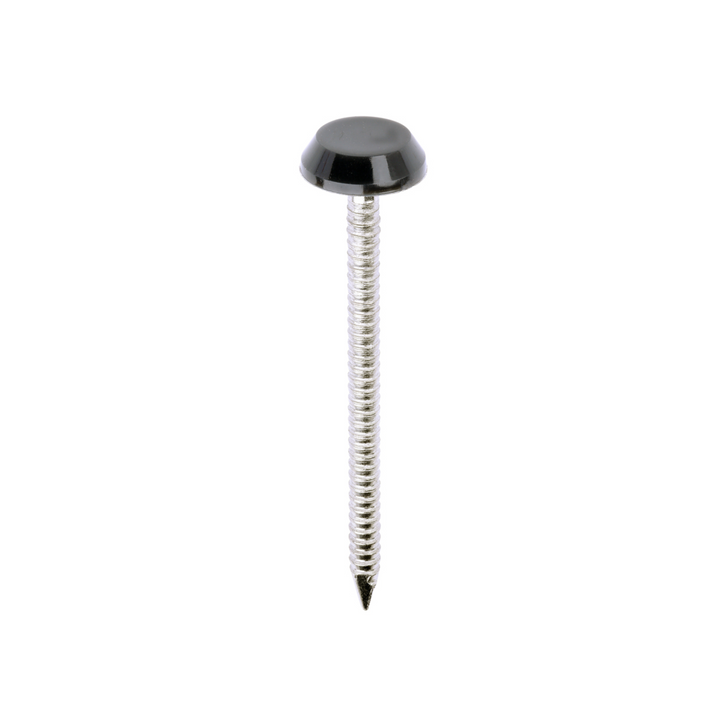 Polytop Nails - A4 Stainless Steel Polymer Cap Nails for Carpentry, Cladding & Wood Nail