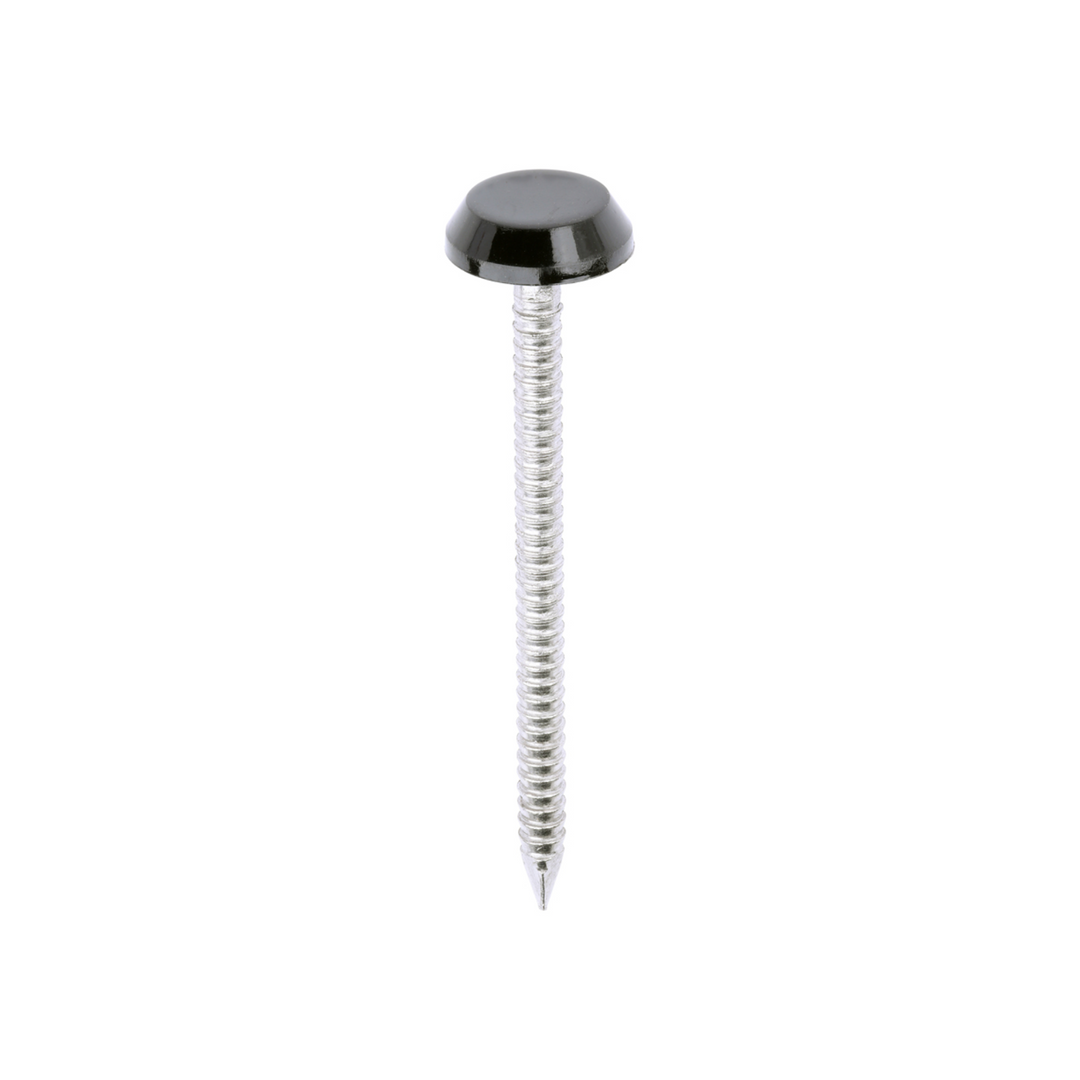 Polytop Nails - A4 Stainless Steel Polymer Cap Nails for Carpentry, Cladding & Wood Nail