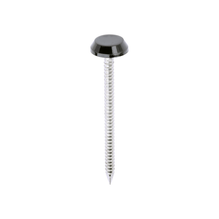 Polytop Nails - A4 Stainless Steel Polymer Cap Nails for Carpentry, Cladding & Wood Nail