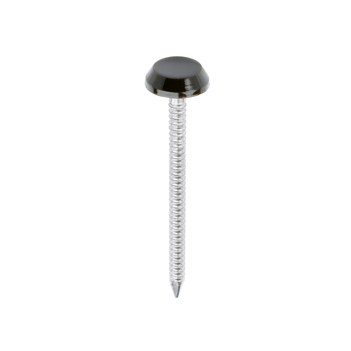 Polytop Nails - A4 Stainless Steel Polymer Cap Nails for Carpentry, Cladding & Wood Nail
