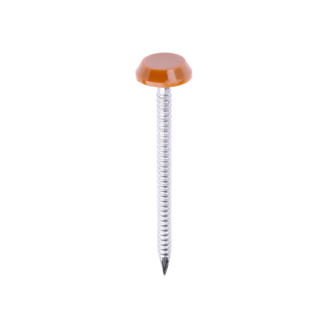 Polytop Nails - A4 Stainless Steel Polymer Cap Nails for Carpentry, Cladding & Wood Nail