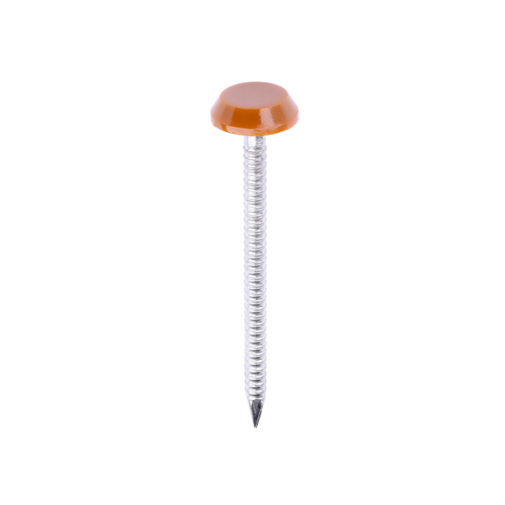 Polytop Nails - A4 Stainless Steel Polymer Cap Nails for Carpentry, Cladding & Wood Nail