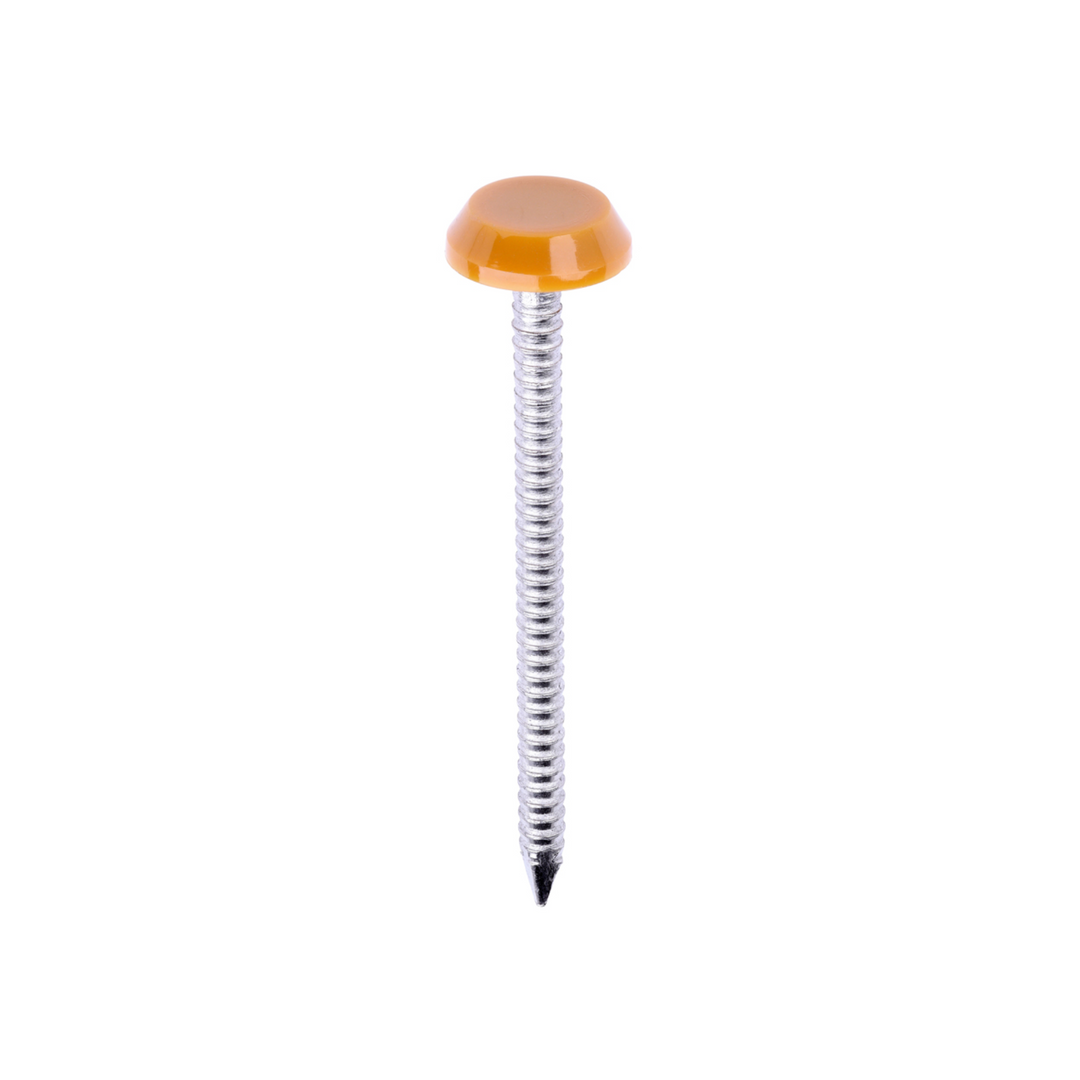 Polytop Nails - A4 Stainless Steel Polymer Cap Nails for Carpentry, Cladding & Wood Nail