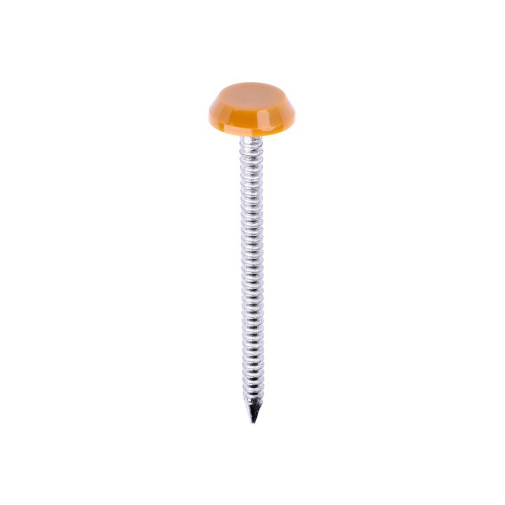 Polytop Nails - A4 Stainless Steel Polymer Cap Nails for Carpentry, Cladding & Wood Nail